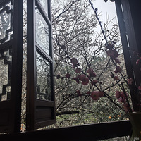 �������ʲô��Ư����