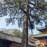 �����������̨������(��)