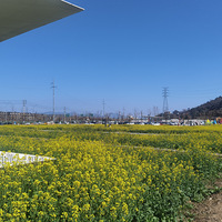 ��2026�μǡ�����ʯ�߽�Ұ��԰���Ͳ˻������Ƶĸ�����