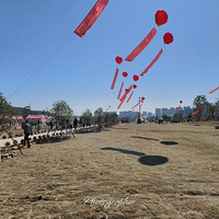 ����ʨ����