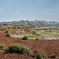 ӿȪ������ƺͷ��ɫ