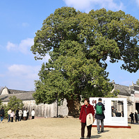 �ɾ�ͩ����Ժ