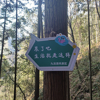 �����T����