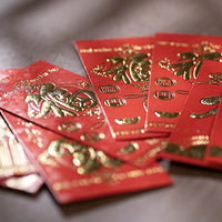 �����ڴ��ޡ�ѹ��Ǯ������