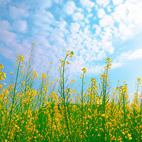 һ��̨��վ���ͱ������ˣ�