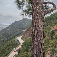 ӿȪ��ɽ���ˮ����ɫ