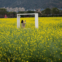 ̨�ݻ�վ�Ͳ˻���