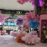 �����ڴ��ޡ���̨ɽѩ��԰��ѩ