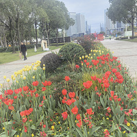 ��3�´��ޡ���������������