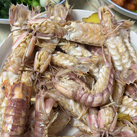 �������ʲô��ƤƤϺ���󣬵��и�