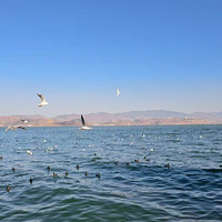 ϲ���ĵط�����ȥһ���ֺη�