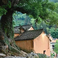 ��߳嵽24�棡������С������������һ�󲨺�������