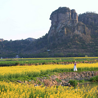 ̨���������Ͳ˻���һ�ҽ�ʮ���