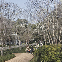 ����ȥ����ɽ��԰������