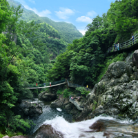 ��ѡ���ۣ���������ר����������