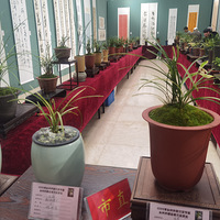 ̨���黭Ժ����ȫ�и�������������չ������Ȥ���ѿ���ȥһ���۸�