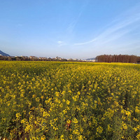 �ٺ������Ͳ˻�