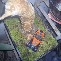 ���ĵ���ĩ