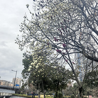 ��3�´��ޡ�����ҪǮ