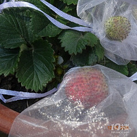 ΢��VS�ֻ����