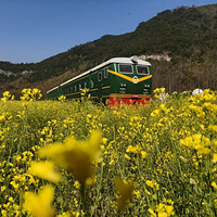 ֱ��26�棡���ϴ�ת��̨�ݽ���������