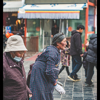 �������ϵ���ͽ