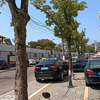 ���۸��ᡷռ���е��Ľ�ʬ��Խ��Խ��