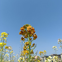 ���쿴��2���Ͳ˻�