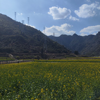 �·�����