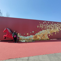 ��ɽӰ�ӳ��μ�