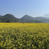 �����ͻ�-�Ͳ˻�andӣ��