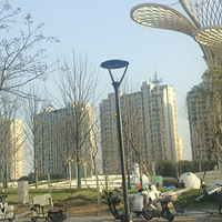 ��3�´��ޡ���һ�����޺�ȥ��-����ﳱ�湫԰���ڴ��С���