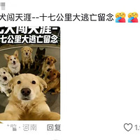 7ֻ������͵�������ٹ�·����顰������17����ɹ����ң���