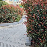 ��̳��ֲ����˸��ӻ��ߡ��Է�����������������