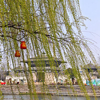 ������꣬����