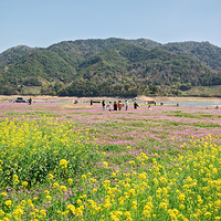 Ϫ��ˮ��컨�ݴ�