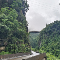 �Ͷ��ǹ���ɭ�ֹ�԰