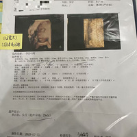 �ֿ��Թ�������һ���˳������˵ķ�����+��2026�����ռǡ�