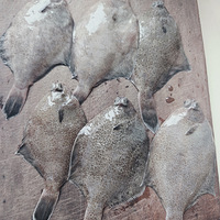 �������5Ԫһ��౦��