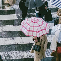 δ�����������������࣬�����������