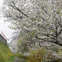 ̨�ݸ���ӣ����