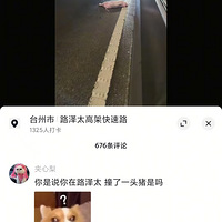 С��������·��̫�߼���ײ��һͷ��