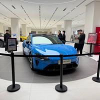 ε�����ǣ�3������������������