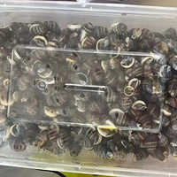 Ϊʲô��ǰ֯���ݿ��Գԣ������ж�ȴ���кܶ�����