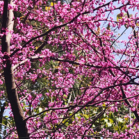 ���ͻ���