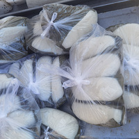 �������ʲô��ͩ��Ҷ��