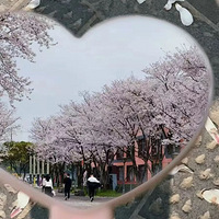 �������ã�����Զ�У��羳����԰ӣ��������