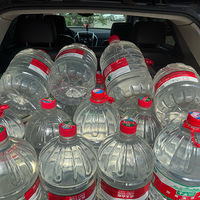 ����������һ��