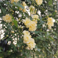 ��������ޡ������ߣ����ͻ�