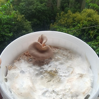 19¥��̳�쵽�������ƽ�����ܻƹ���ѿ��